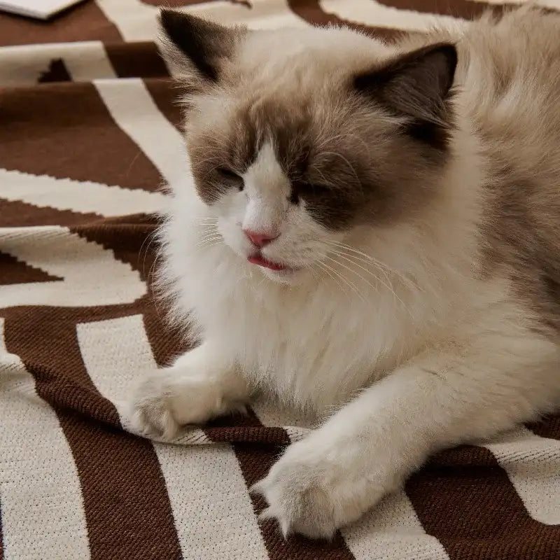 Durable Cushion Cover Anti-scratch Sofa Couch Cover Universal Sofa Blanket