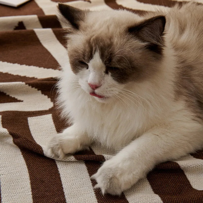 Durable Cushion Cover Anti-scratch Sofa Couch Cover Universal Sofa Blanket 