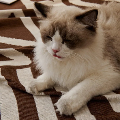 Durable Cushion Cover Anti-scratch Sofa Couch Cover Universal Sofa Blanket 